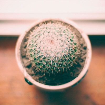 企业效能提升的电话在线轰炸