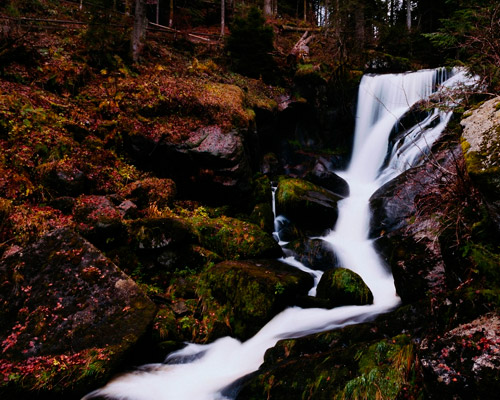 秋思电话轰炸平台